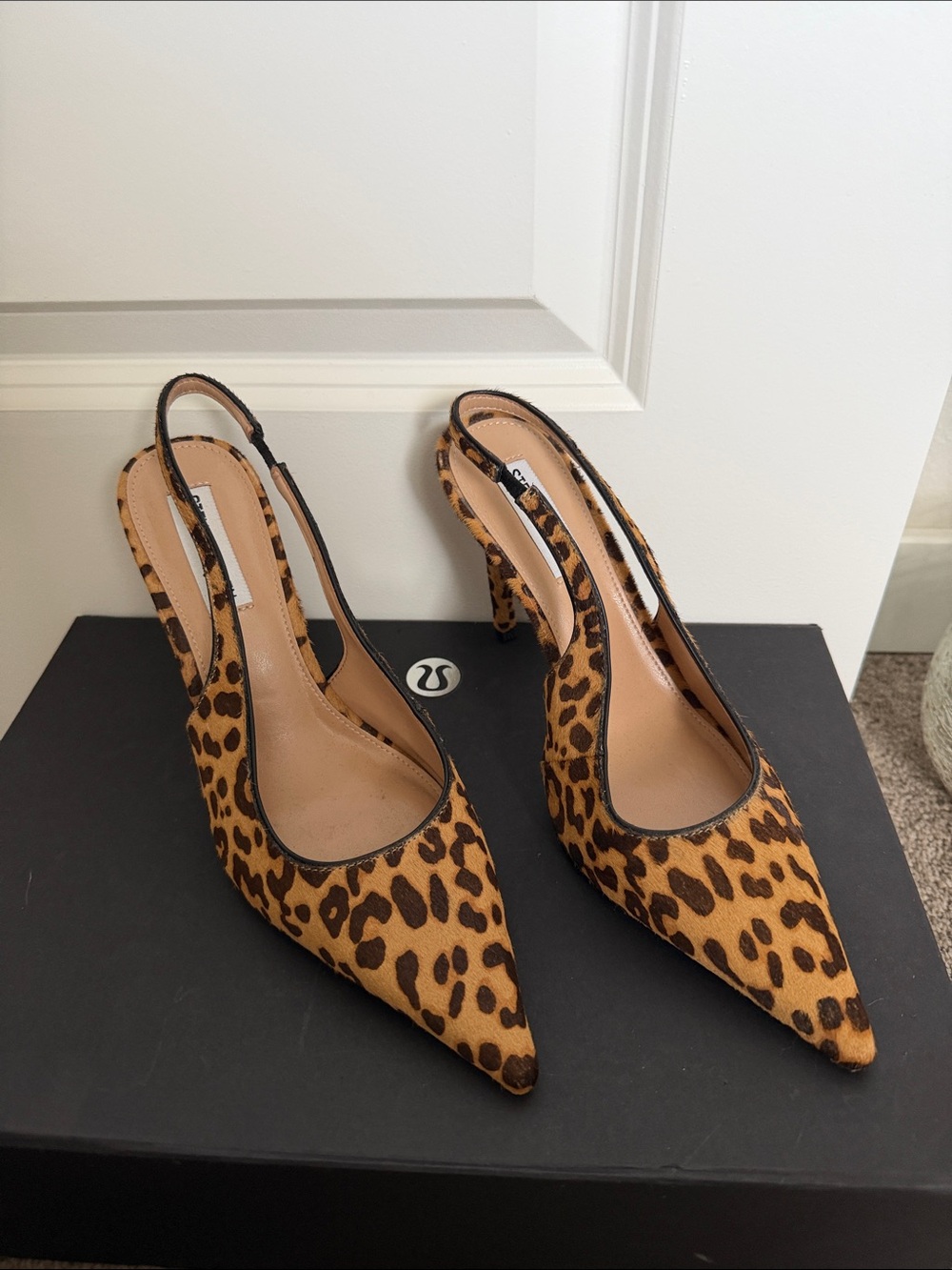 Steve Madden Reyes Leopard Print Slingback Pointed-Toe Heels